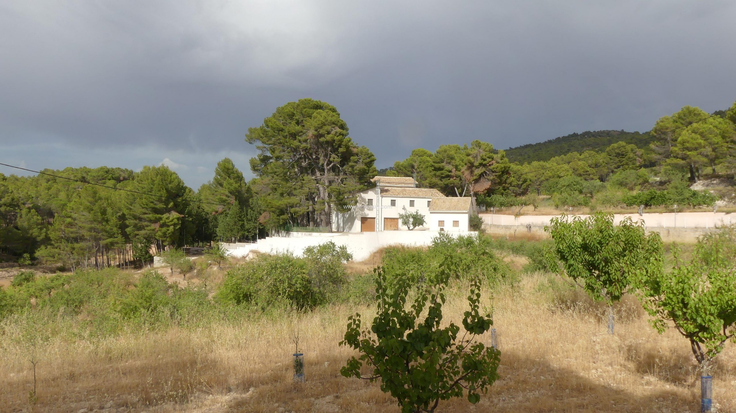 P1000164